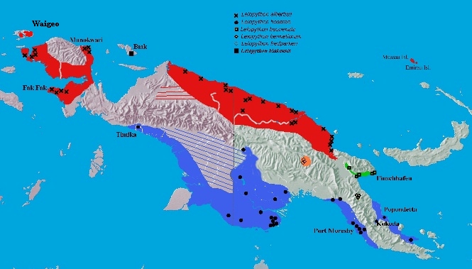 Distribution map of the genus Leiopython